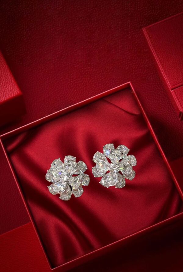 Silver Zircon Shine Earrings