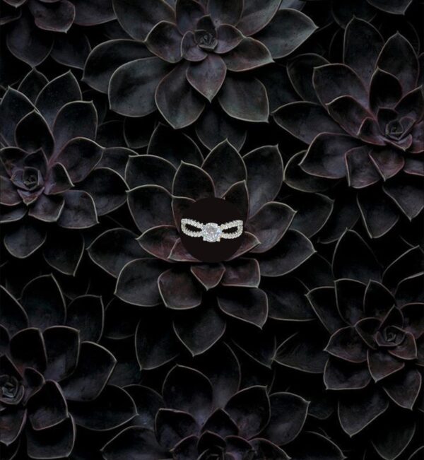 Zircon Plated Ring